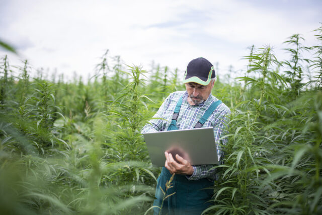 Bioxyne’s CanxChange platform brings transparency to Australia’s B2B medical cannabis market