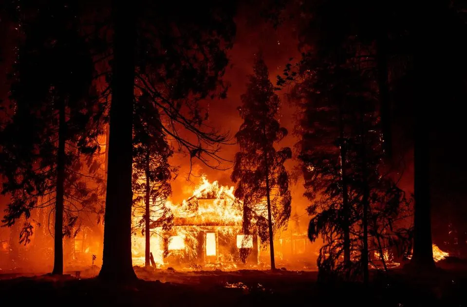 Turning Climate Shocks Into Action: 5 Keys to Unlocking Our Survival