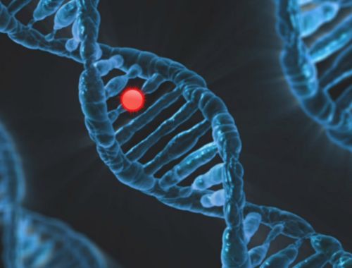 Explore the Benefits of Germline Therapy for Genetic