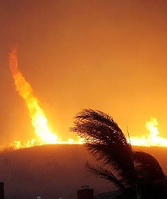 Stories of Resilience: hurricane milton seminole county