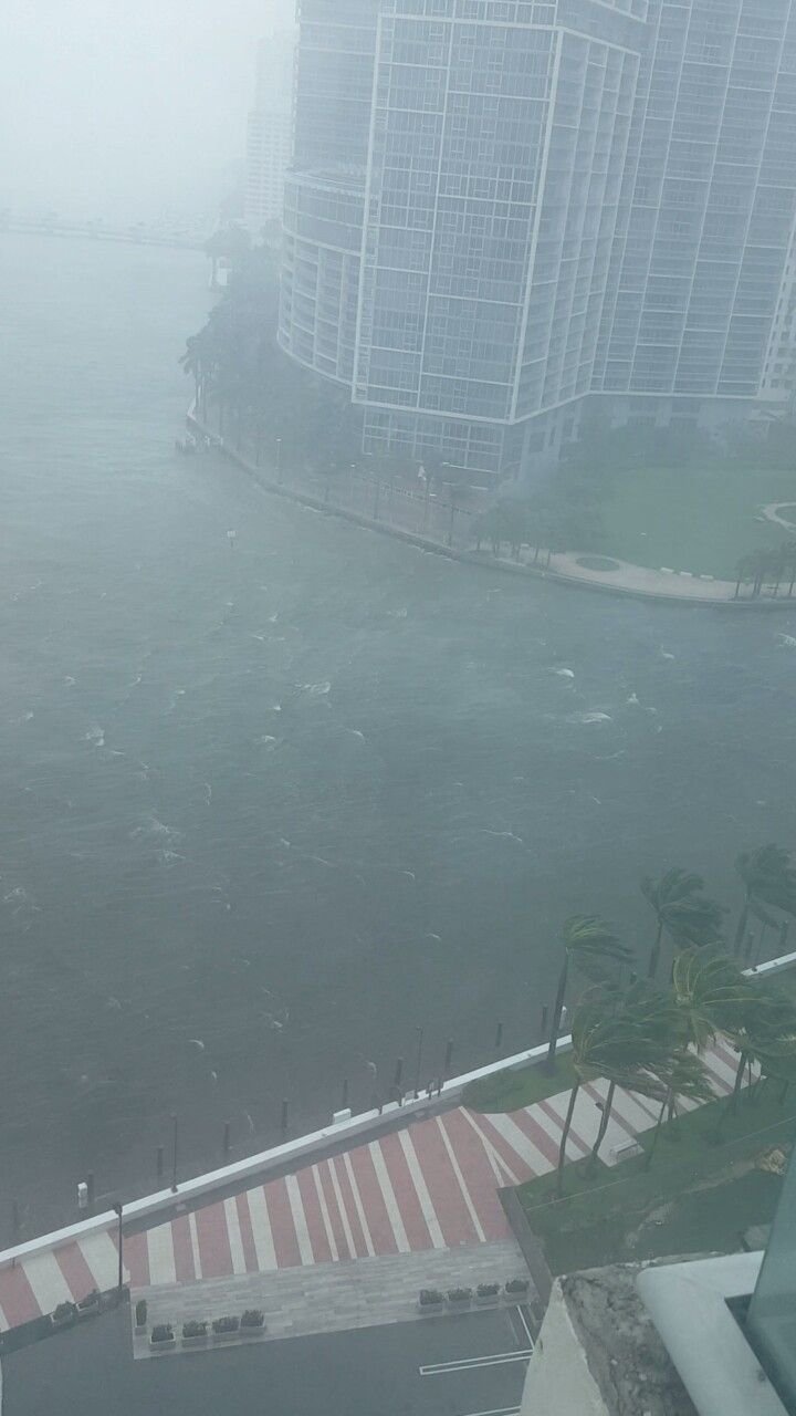 Miami Hurricane Milton: A Customer’s Journey Through the Chaos