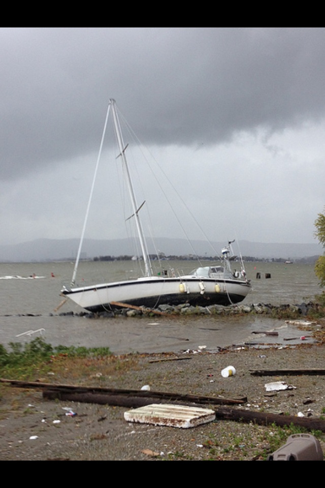 Unleashing the Fury: Report on cnn hurricane milton