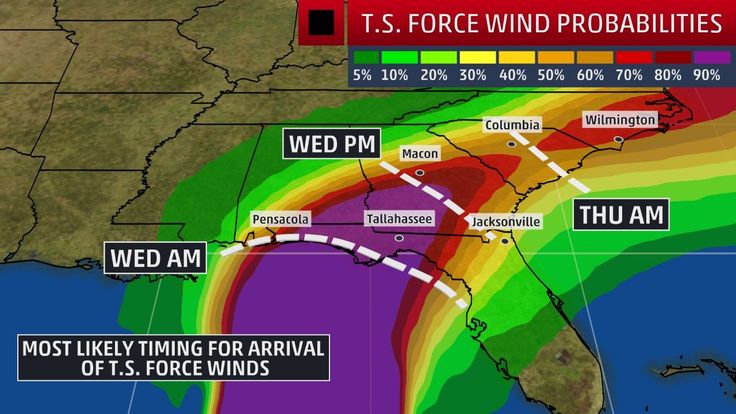 Surviving the Fury: Coping with hurricane milton cat 4