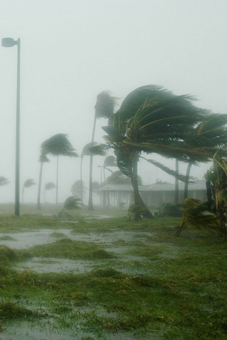 In the Eye of the Storm: wink news hurricane milton