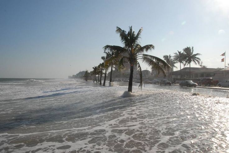 From Genesis to Aftermath: The Timeline of hurricane milton tornado